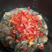 Step 5