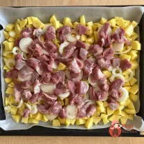 Step 8