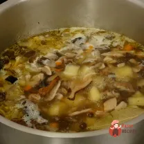 Step 5