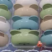 Step 10