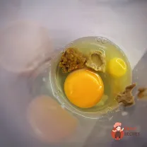 Step 1