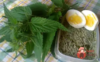 Олія Кропив'яНа