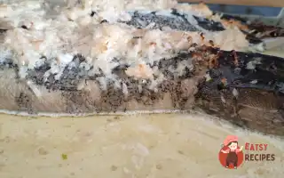 Щука По-Ельзаськи
