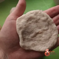 Step 12