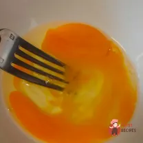 Step 17