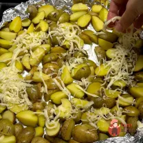 Step 12