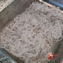 Step 7