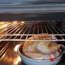 Step 9