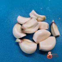 Step 14