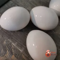Step 1
