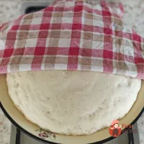 Step 13