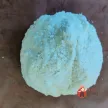 Step 8