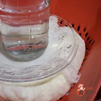 Step 11