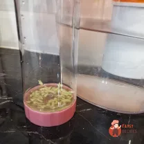 Step 2