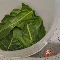 Step 3