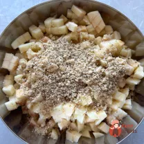 Step 11