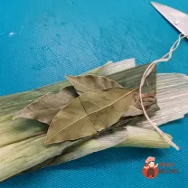 Step 6
