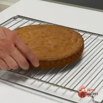 Step 8