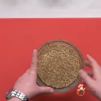 Step 1