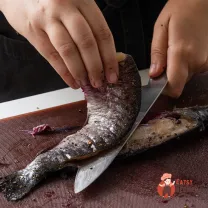 Step 12