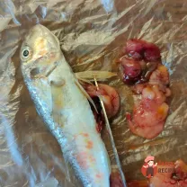 Step 8