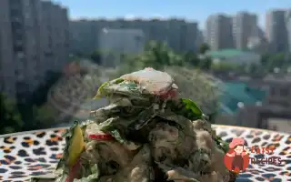 Салат Із Зелені З Горіховою Заправкою