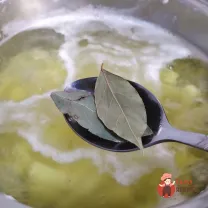 Step 5