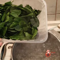 Step 8