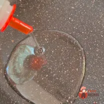 Step 11