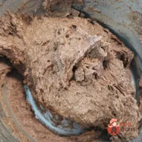 Step 11