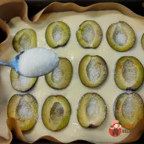 Step 11