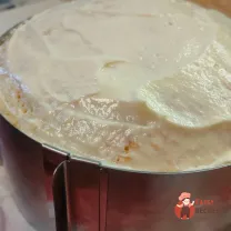Step 15