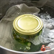 Step 7