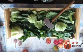 Сіра Квашена Капуста