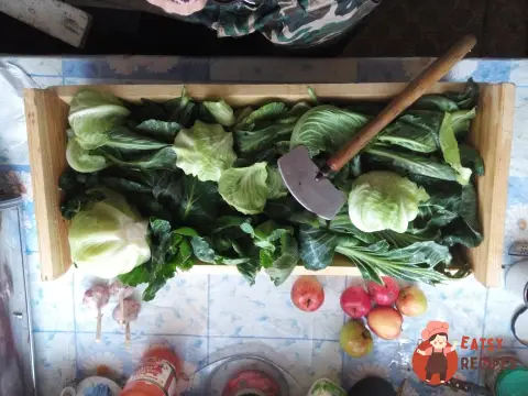Сіра квашена капуста