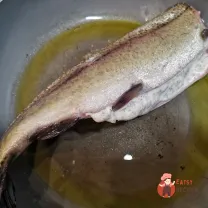 Step 9