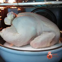 Step 7