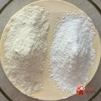 Step 6