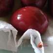 Step 8