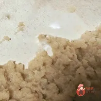 Step 8