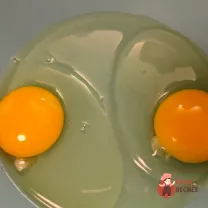 Step 10