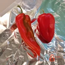 Step 2