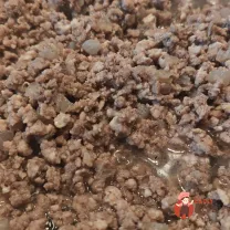 Step 10