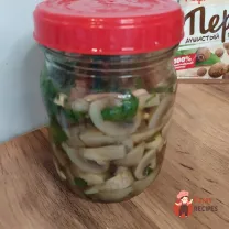 Step 15
