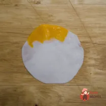 Step 11