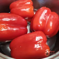 Step 9