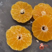 Step 10
