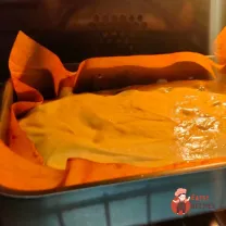 Step 17