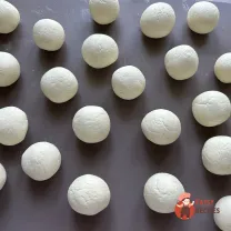 Step 11