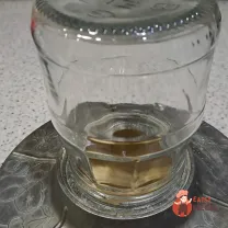 Step 9